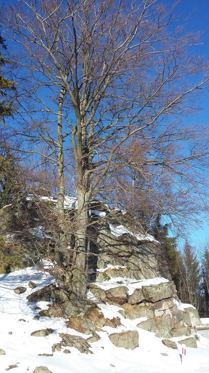 Apartmán Silence Wichrowe Wzgorze *